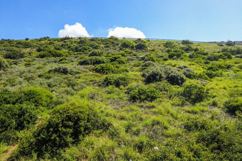 0 Bedroom Property for Sale in Diaz Industria Western Cape